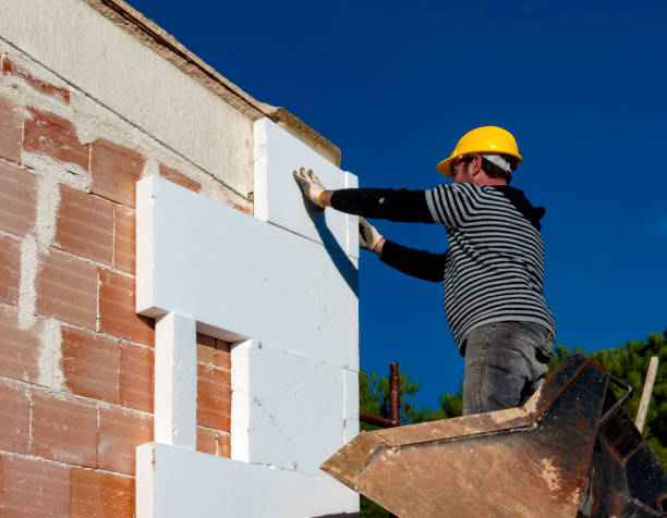 Best Cellulose Insulation  in Hollywood, SC