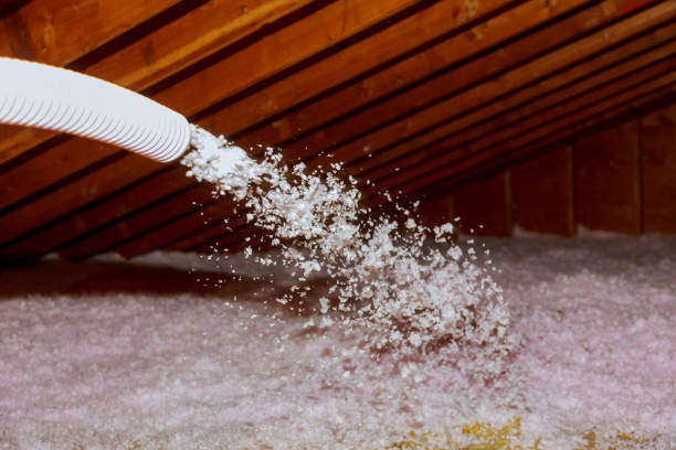 Best Commercial Insulation Contractor  in Hollywood, SC