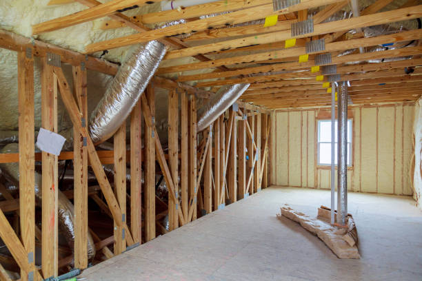 Best Insulation Removal  in Hollywood, SC