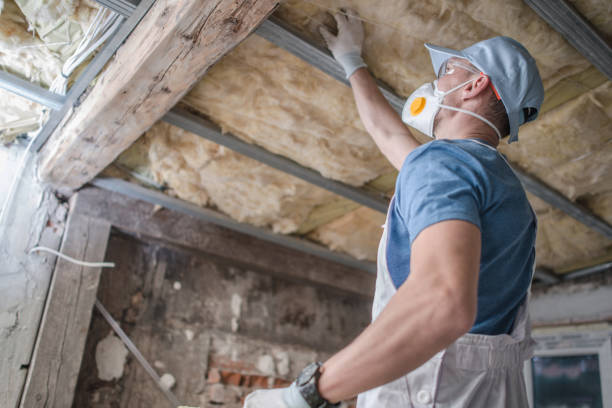 Best Energy-efficient Insulation  in Hollywood, SC