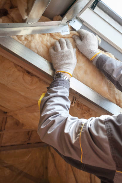 Best Insulation for New Construction  in Hollywood, SC