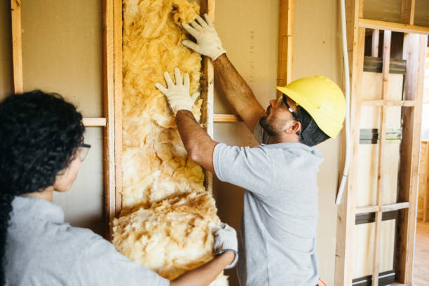 Best Garage Insulation Installation  in Hollywood, SC