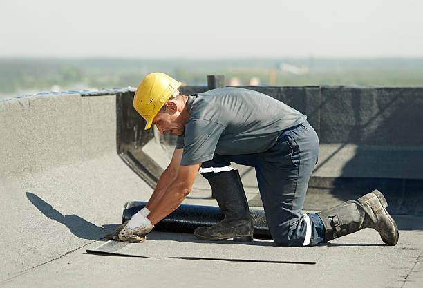Best Blown-in Insulation  in Hollywood, SC