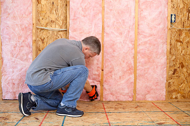 Best Local Insulation Services  in Hollywood, SC