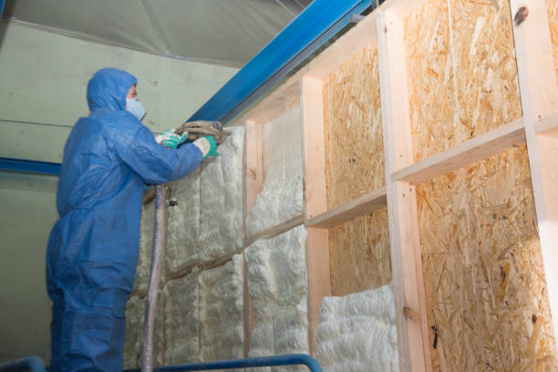 Best Insulation Replacement Services  in Hollywood, SC