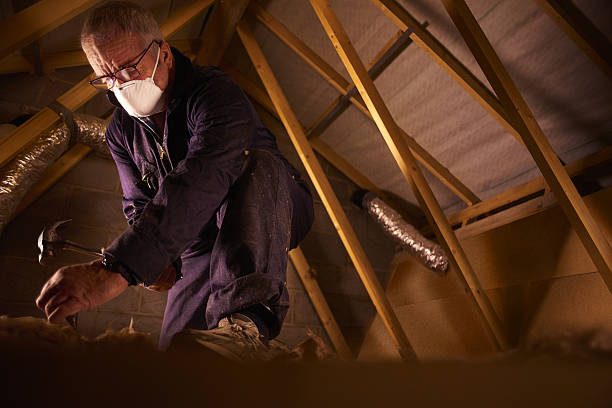 Best Insulation Contractors for Homes  in Hollywood, SC