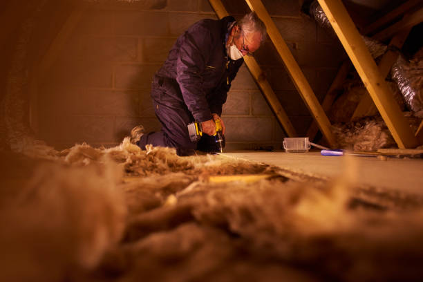 Best Insulation Inspection Services  in Hollywood, SC
