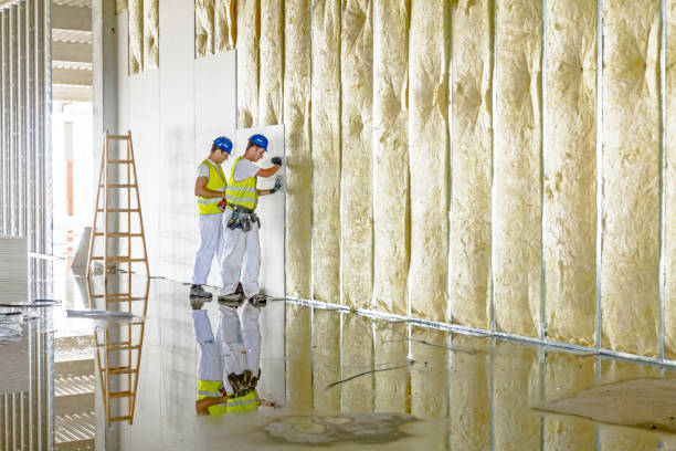 Best Spray Foam Insulation  in Hollywood, SC